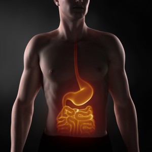 Pathogenic gut bacteria and IBD
