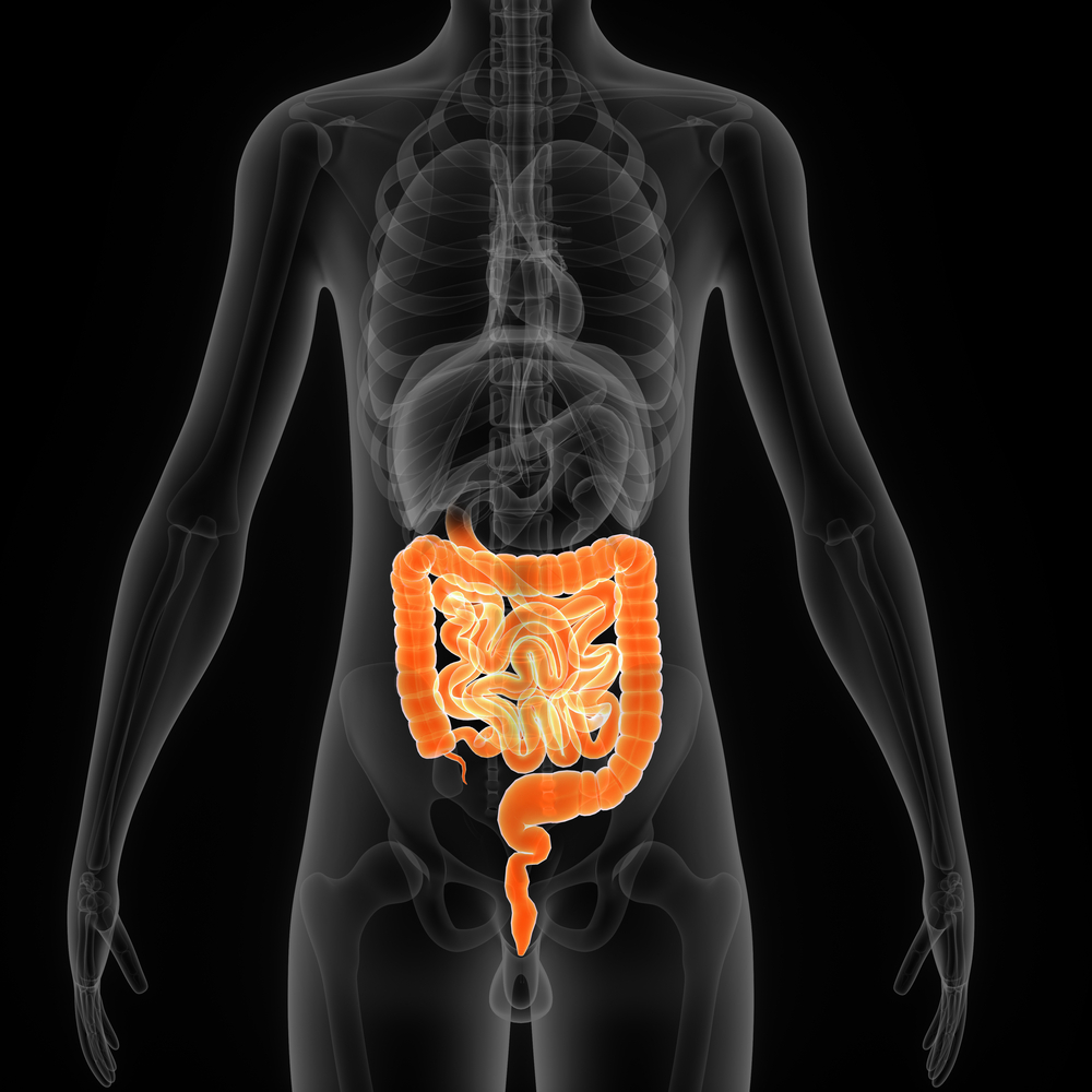 Industry and Academe Team Up To Develop Microbiome-based Therapies For Patients With Inflammatory Bowel Disease
