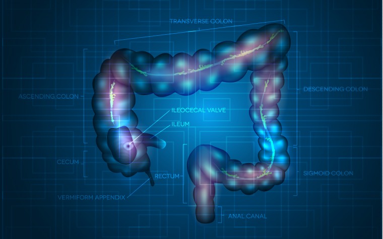 Phase 3 trial results for Stelara for Crohn's disease