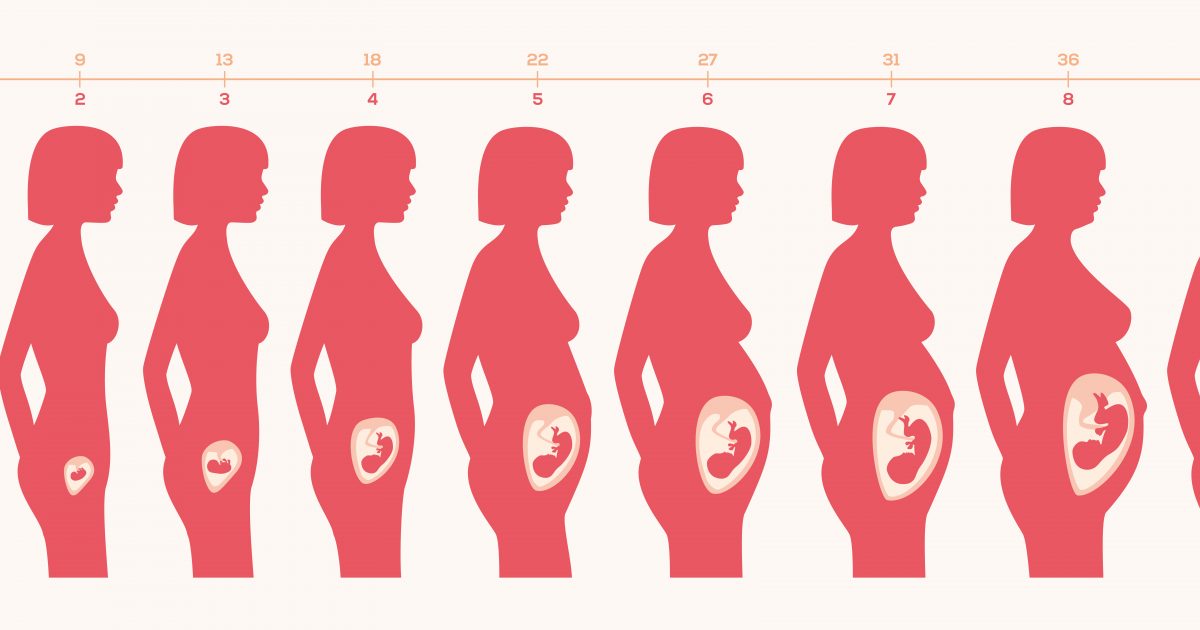 Placental Inflammation Not Related to Poor Birth Outcomes in Women with IBD