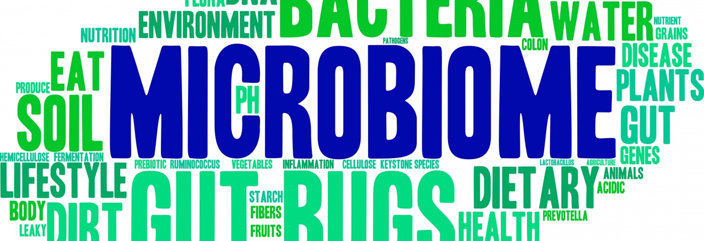 Study Shows that Different Treatments for Children with Crohn’s Disease Do Not Entirely Restore Healthy Gut Microbiota