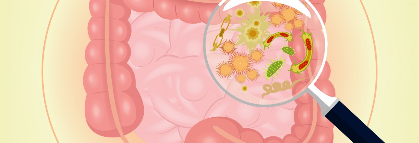 Good Gut Health May Depend on a Few Good Microbes