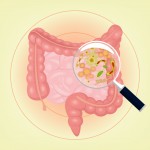 Gut health and microbes