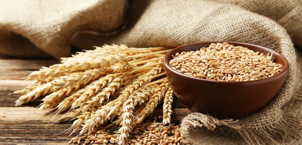 wheat-protein-may-cause-or-aggravate-ibd-other-health-conditions