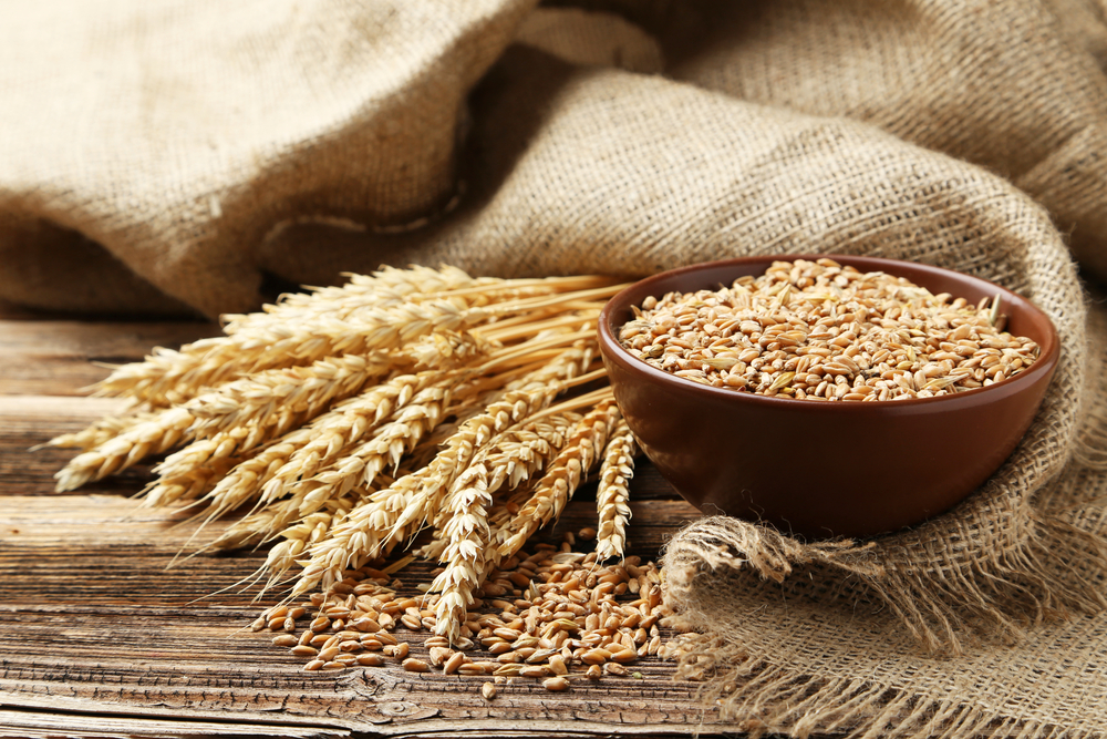 wheat-protein-may-cause-or-aggravate-ibd-other-health-conditions