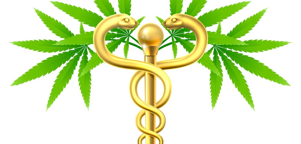 Medical Marijuana: From Laughable Suggestion to Legitimate Option