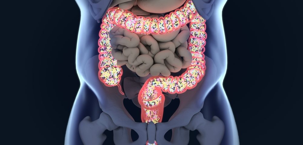 Cd14 Gene Protects Mice Against Bowel Disease and Reduces Inflammation, Study Shows