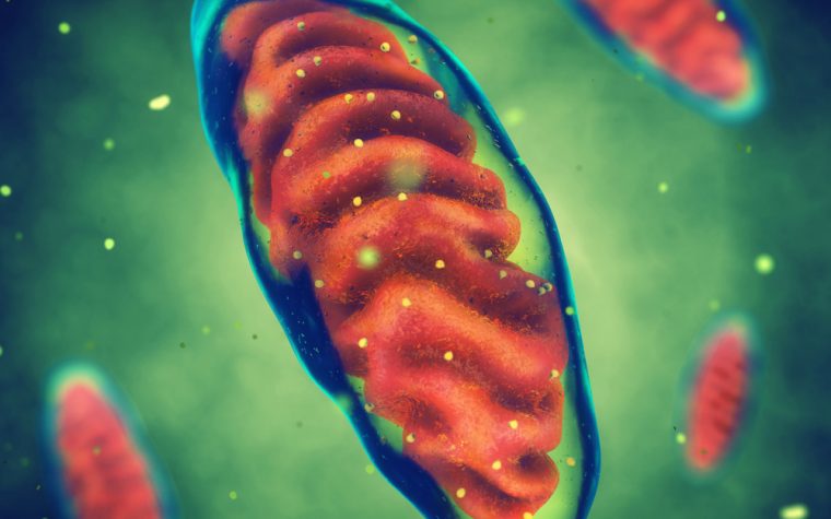 mitochondria and severe colitis