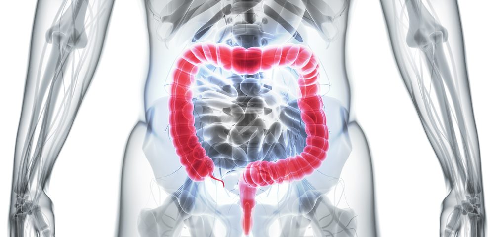 Mitochondrial DNA in IBD Patients A Potential Therapeutic Target, Study Suggests