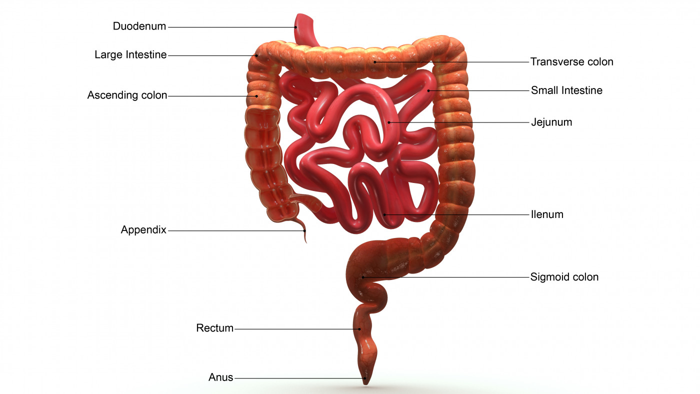 scientists-suggest-to-have-cured-crohn-s-disease