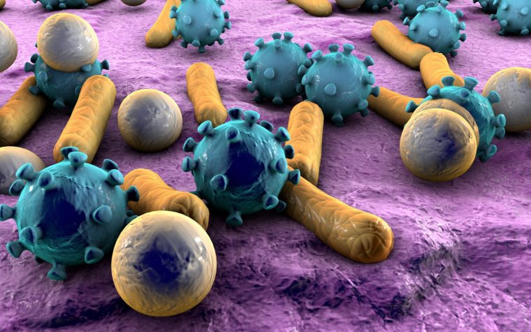 gut bacteria, IBD